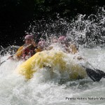 Rafting in compagna sul fiume Noce