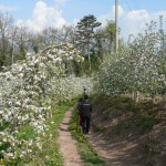 escursione al canyon di santa giustina_meli in fiore_val di non_pineta hotels_wellness hotel trentino189 (1)