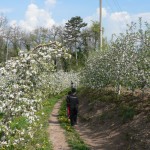 escursione al canyon di santa giustina_meli in fiore_val di non_pineta hotels_wellness hotel trentino189