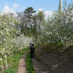 escursione al canyon di santa giustina_meli in fiore_val di non_pineta hotels_wellness hotel trentino189 (2)