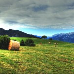 Predaia altipiano_val di non_trentino