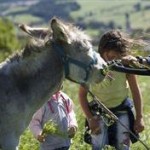 val di non alla scoperta, trentino, pineta hotels