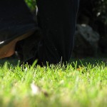 a piedi nudi nell'erba correre