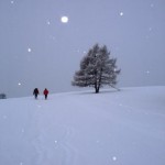 Neve fresca sulle piste della #Predia