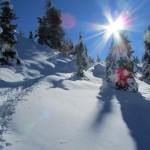 quasi sulla cima del monte roen