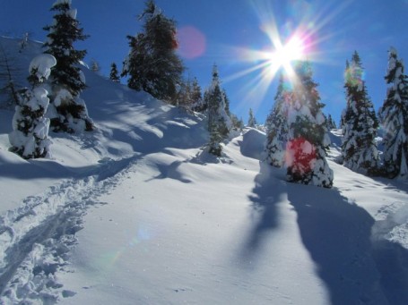 quasi sulla cima del monte roen