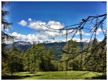 lago di tret_strada verso il lago_vacanza benessere trentino_val di non_pineta hotels