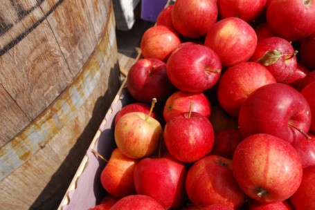 Pomaria la festa della Mela in Val di Non