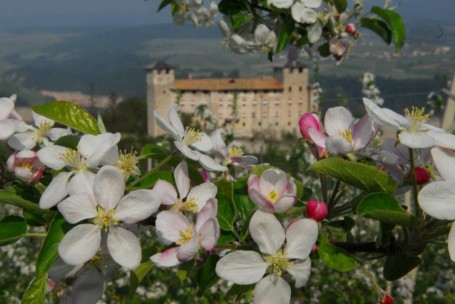 Castel Cles tra i meli in fiore..